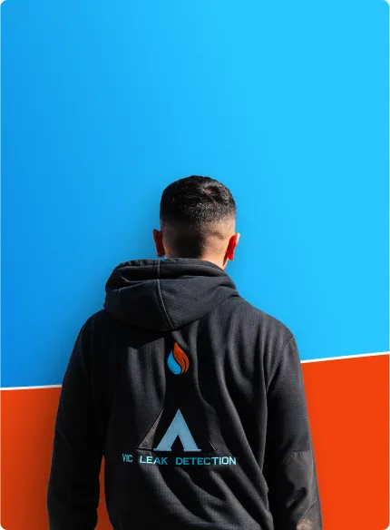 <strong>Transparency</strong>