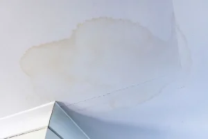 leak-detection-wall and ceiling