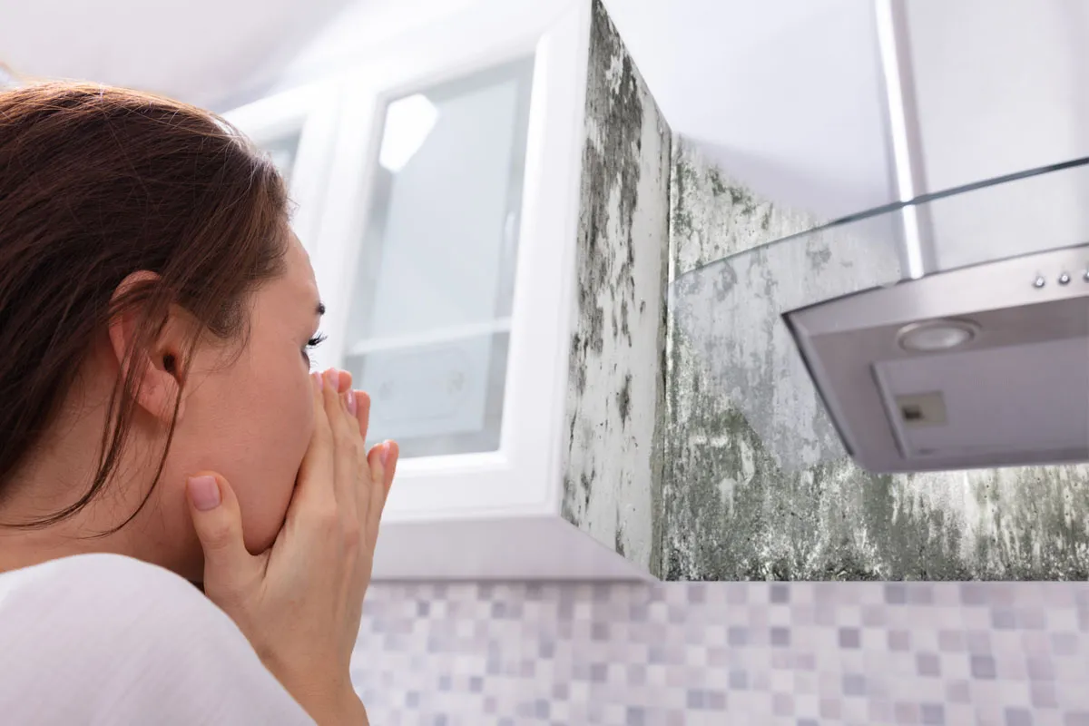 Mould or musty smell